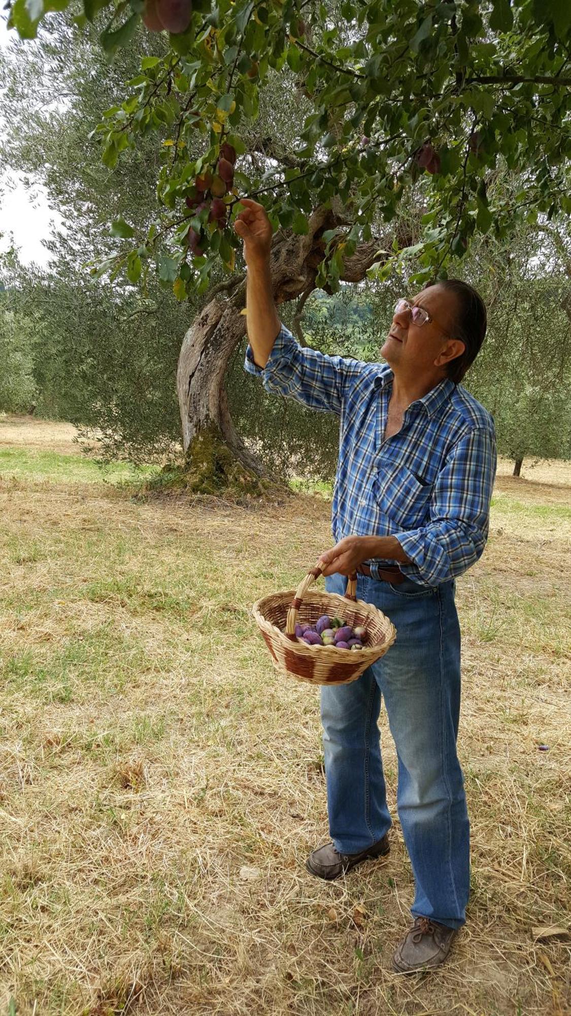 קיוזי Montebello Degli Olivi מראה חיצוני תמונה
