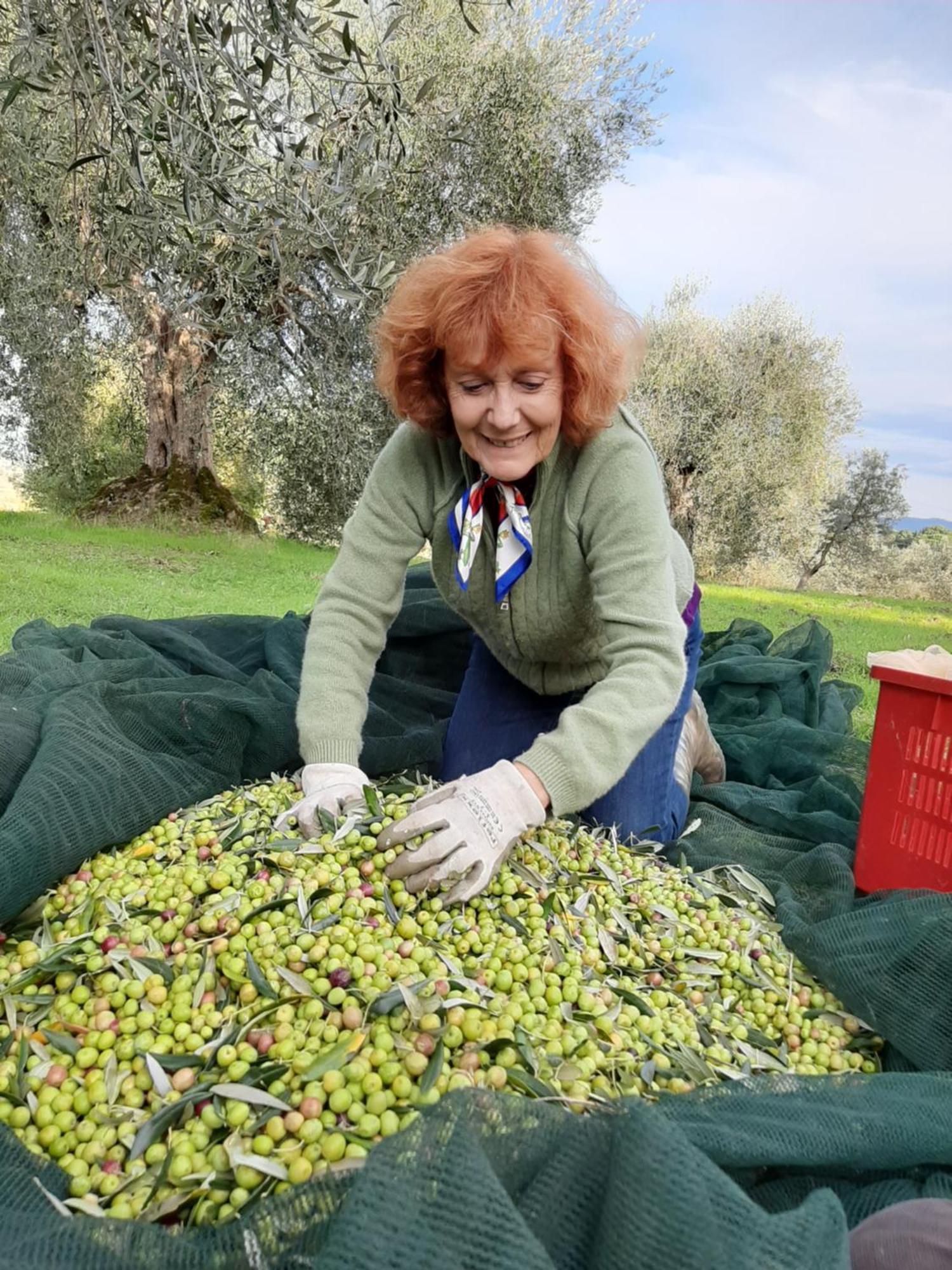 קיוזי Montebello Degli Olivi מראה חיצוני תמונה
